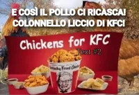 chickens for kfc