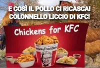 chickens for kfc