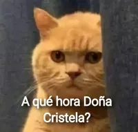 de kuales gato