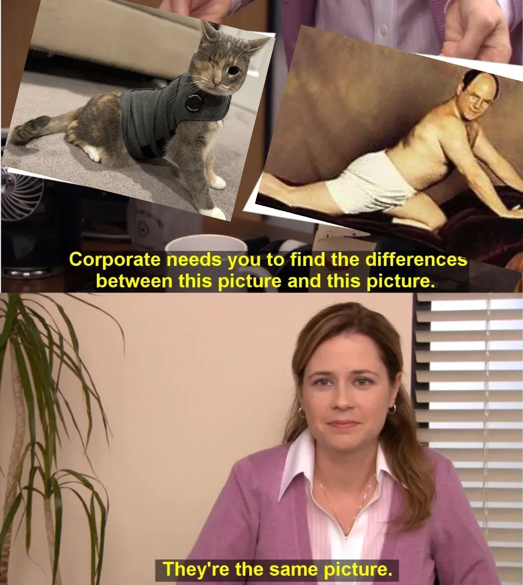 They're The Same Picture