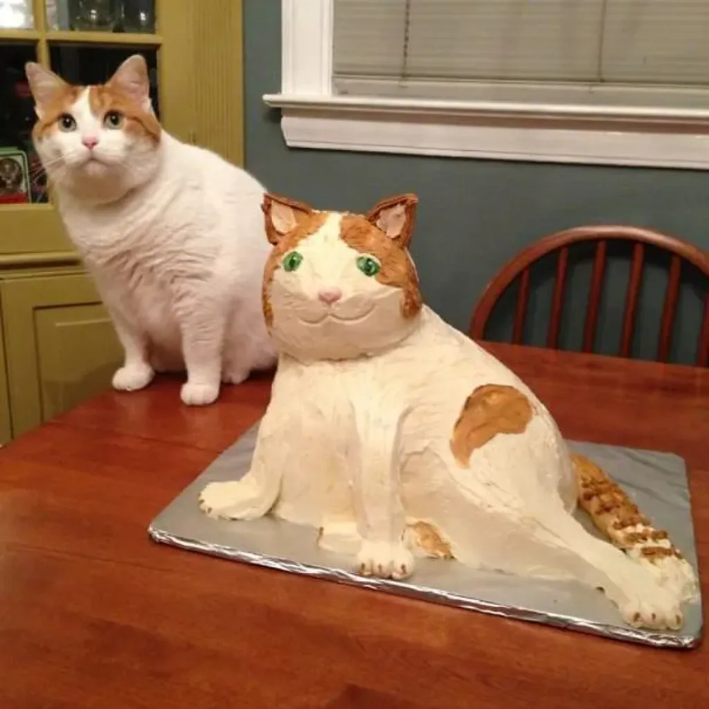 cat cake