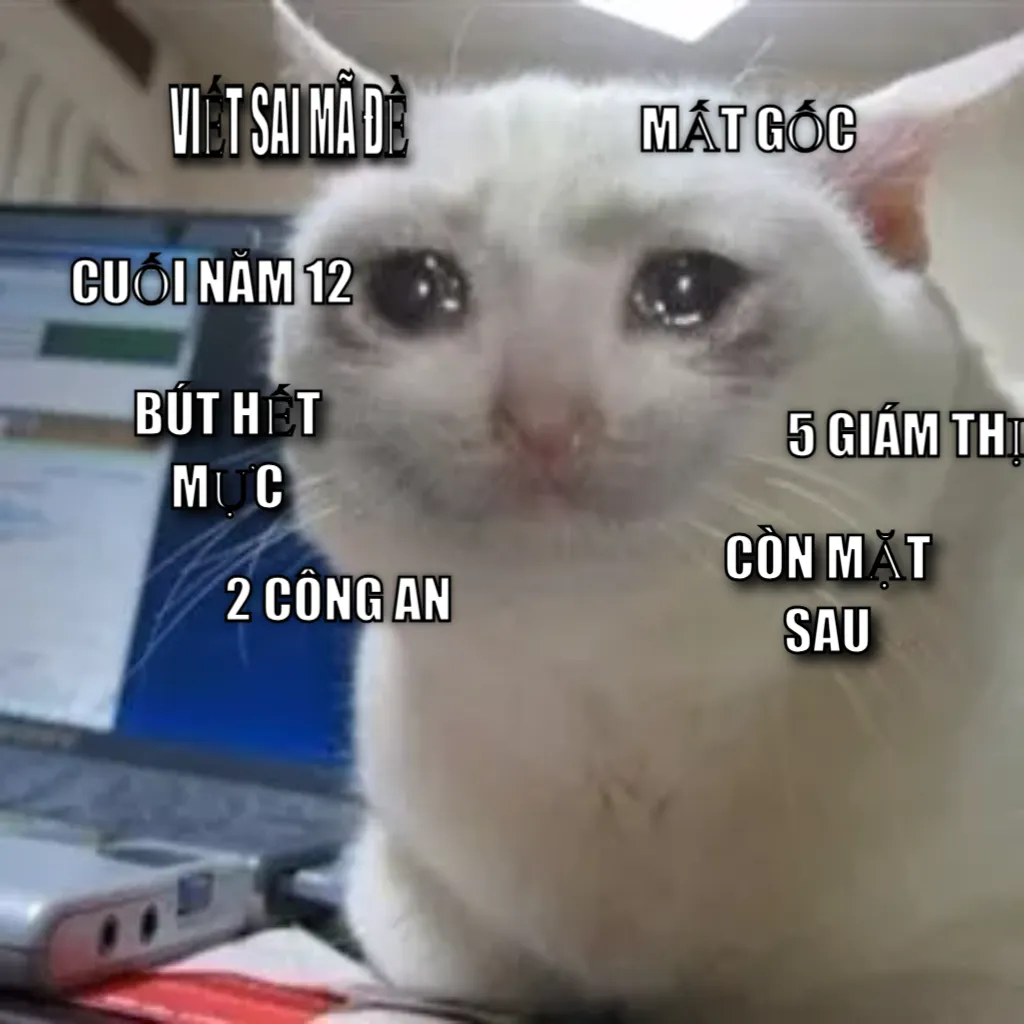 Crying cat