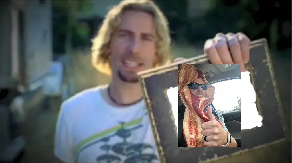 Look at this photograph