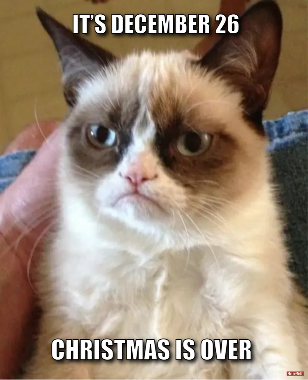 Grumpy Cat