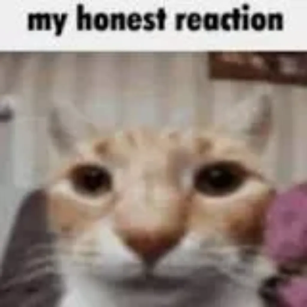 My Honest Reaction