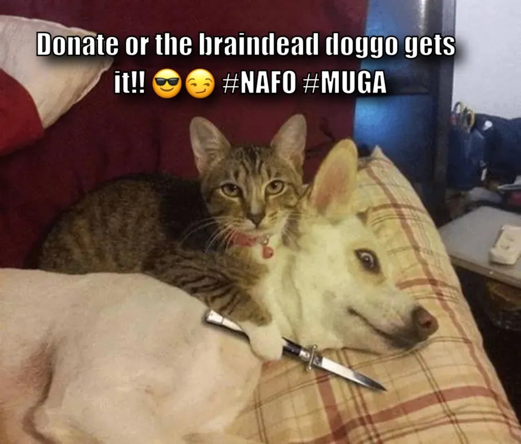 Cat with knife at dog's throat