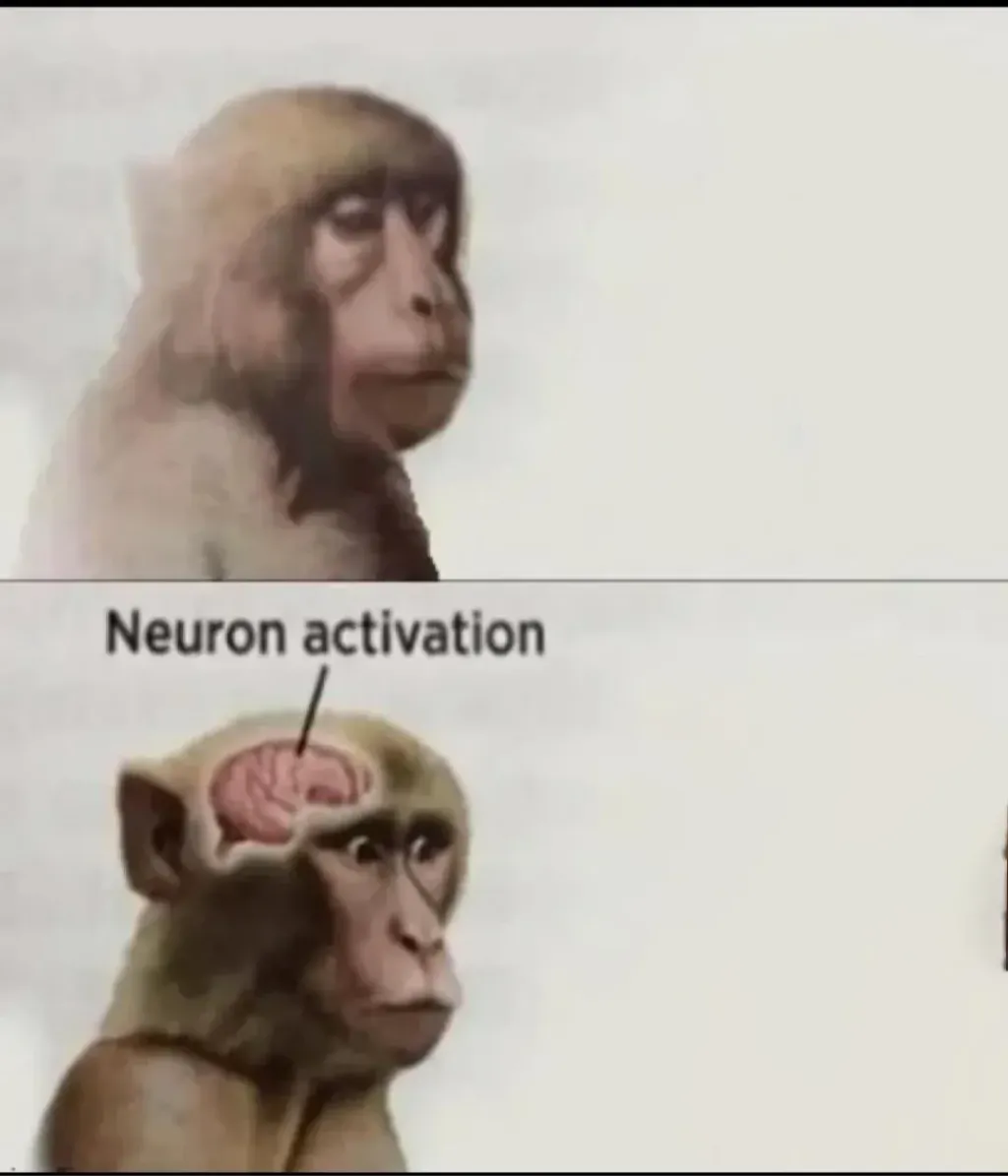 neuron activation