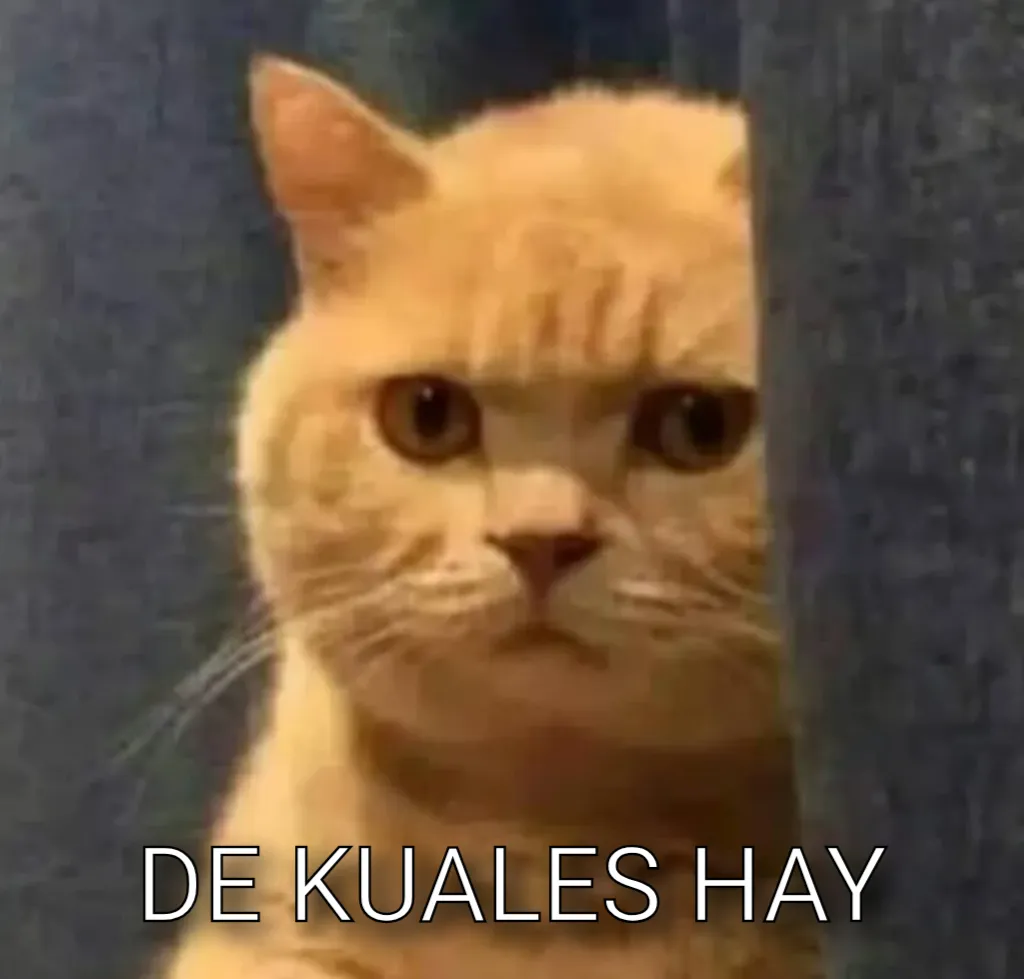 de kuales gato