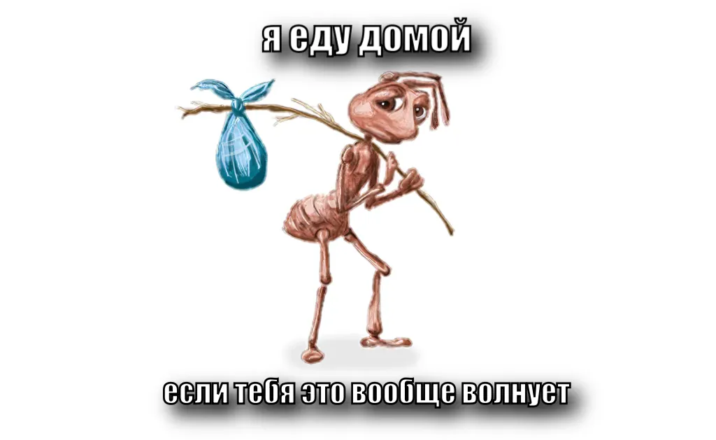 Sad Ant With Bindle / Homeless Ant / How It Feels To Ant