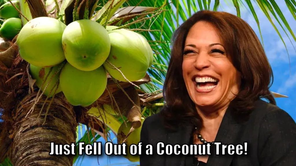 Fell Out Of A Coconut Tree