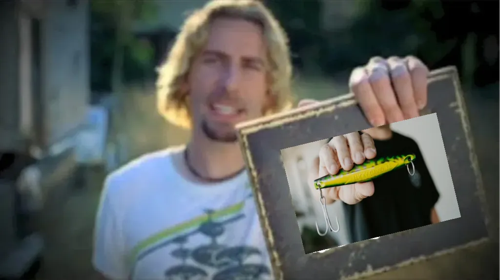 Look at this photograph