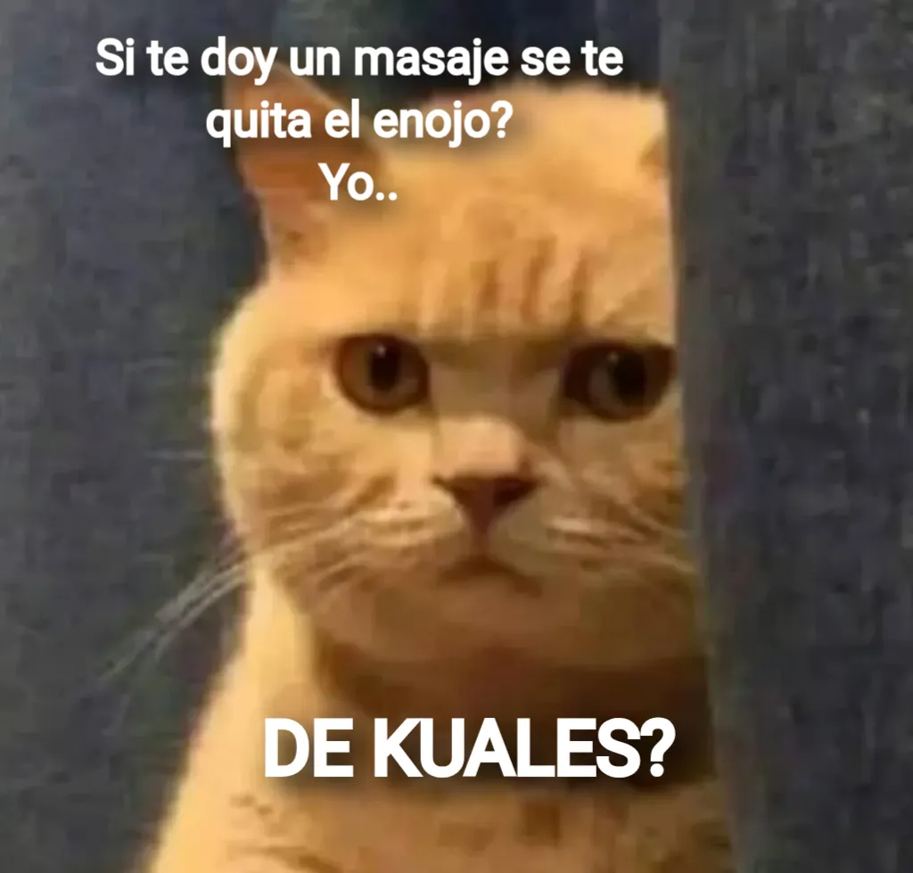 de kuales gato