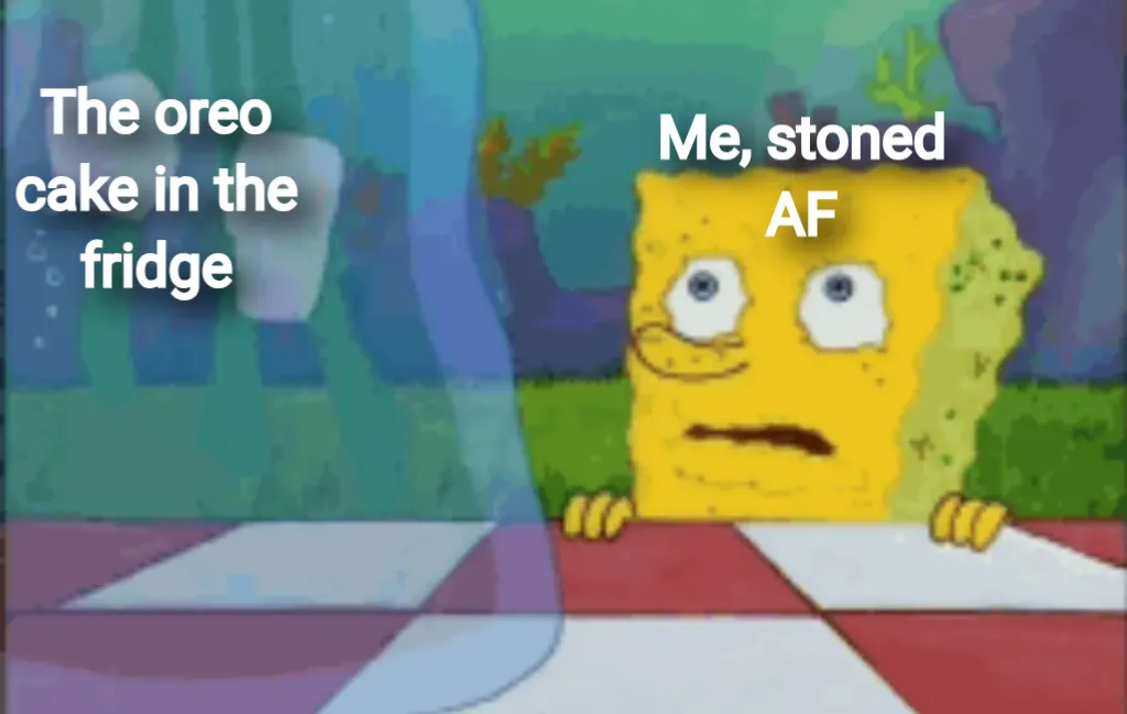 SpongeBob I don't need it