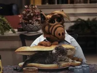 Alf Cat Sandwich