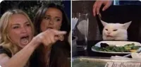 Angry women yelling at confused cat at dinner table