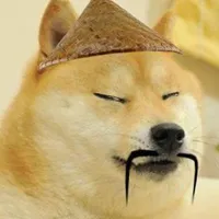 asian doge