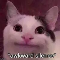 Awkward silence cat