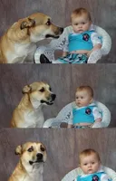 Baby and dog