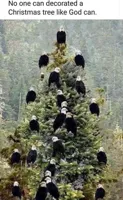 Bald Eagle Christmas tree