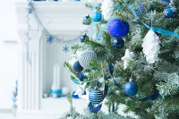 Blue and White Christmas backdrop