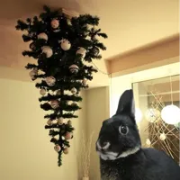 bunny christmas