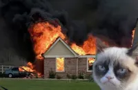 Burn Kitty