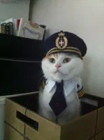 Captain Cat