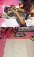 Cat Drawing