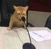 Cat on Mic