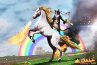 Cat riding unicorn