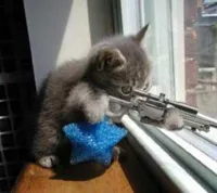 Cat Sniper