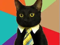 Cat Tie