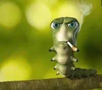 Caterpillar smoking