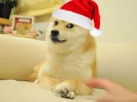 Christmas Doge