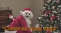 Christmas Music Stops