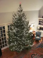 Christmas Tree 15ft