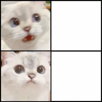 cute white cat template