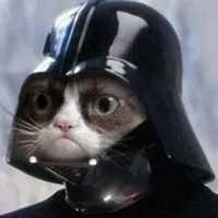 Darth Grumpy Cat