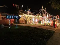 Ditto Christmas Lights