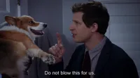 do not blow this for us brooklyn 99