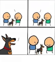 does your dog bite