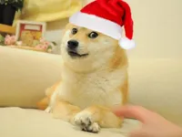 Doge christmas