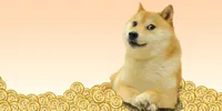 Doge Coin