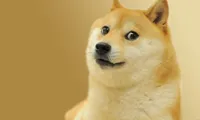 Doge Meme