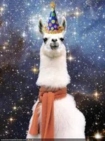 Drama Llama Birthday