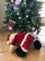 Drunk Santa