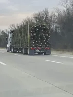 Final Destination Christmas