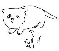 full of milk cat