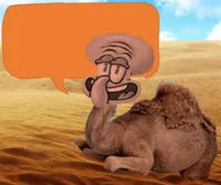 fun facts with camel squid