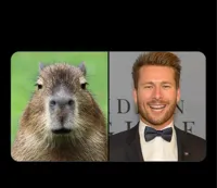 Glen powell capybara